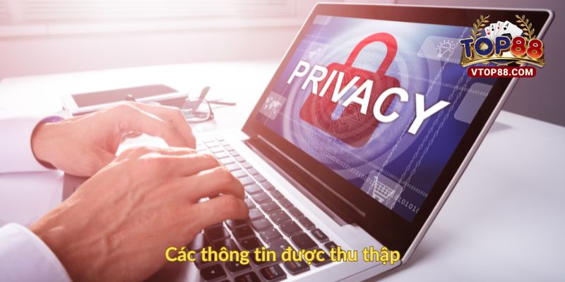 Các thông tin được thu thập