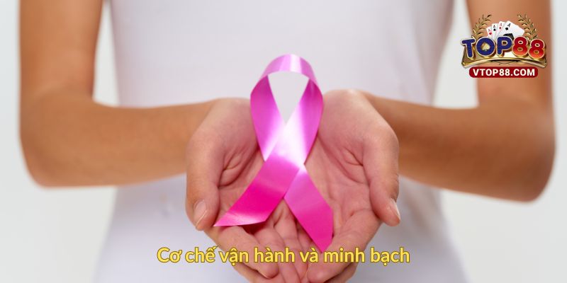 Cơ chế vận hành và minh bạch
