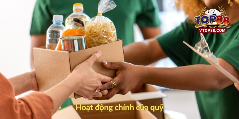 Hoạt động chính của quỹ